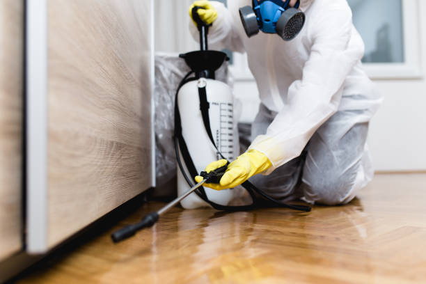 Best Local Pest Control Services  in Whippany, NJ