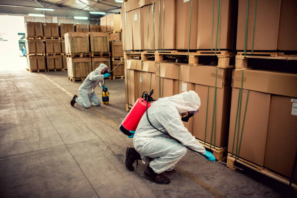Best Best Pest Control Companies  in Whippany, NJ