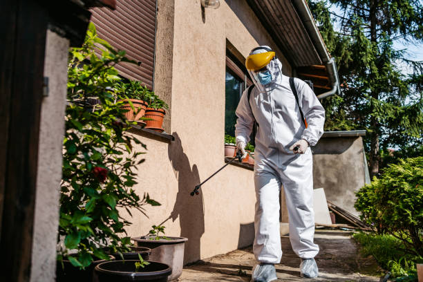 Best Residential Pest Control  in Whippany, NJ