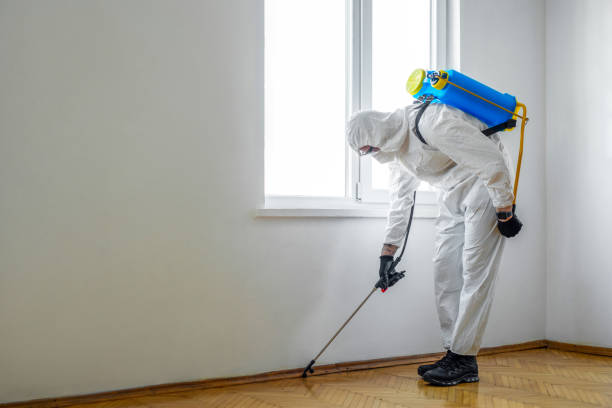 Best Pest Prevention Services  in Whippany, NJ