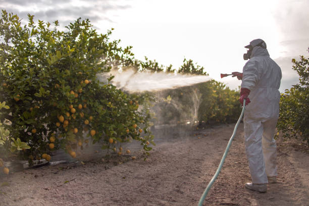 Best Pest Control Near Me in Whippany, NJ