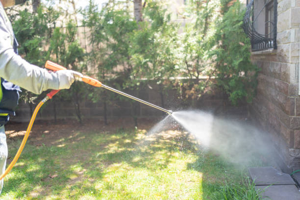 Best Pest Control for Businesses  in Whippany, NJ