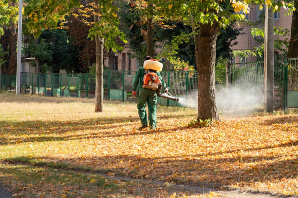 Whippany, NJ Pest Control Company