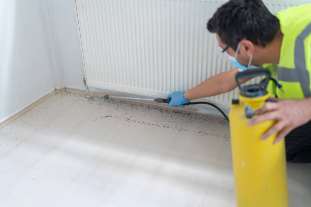 Best Best Pest Control Near Me  in Whippany, NJ